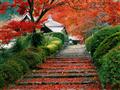 Kjóto, záhradné schody